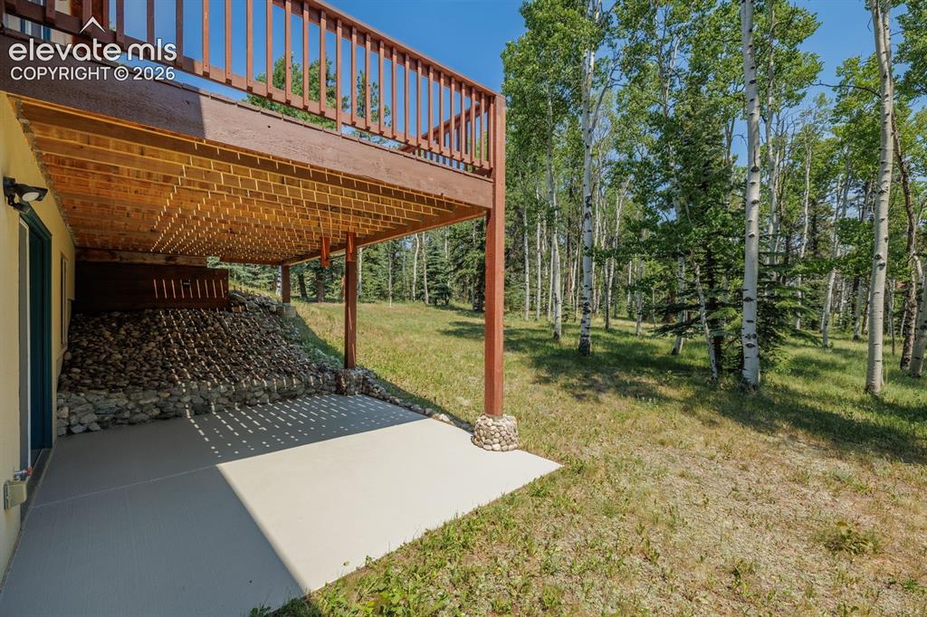392 Aspen Village Road Divide, CO 80814 - Photo 41 of 43