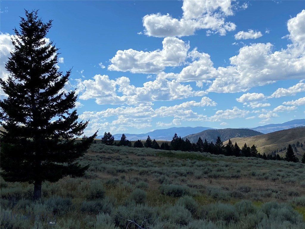 16 Ross Gulch Road Townsend, MT 59644 - Photo 1 of 1 Gallery Image 1