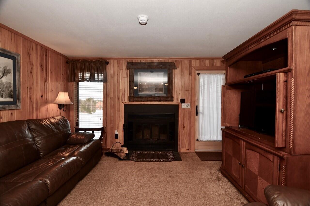 47 Powderidge Road, Unit 10B Snowshoe, WV 26209 - Photo 4 of 20 Gallery Image 4
