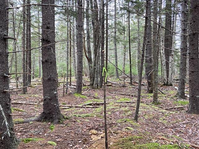 M36-l8&l9 Main Road Islesboro, ME 04848 - Photo 16 of 22 IMG_8392