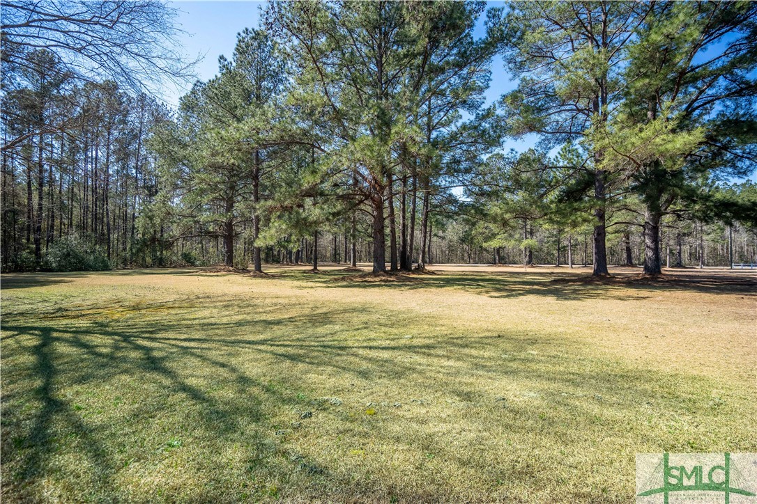 3338 Lawrence Church Road Pembroke, GA 31321 - Photo 5 of 33