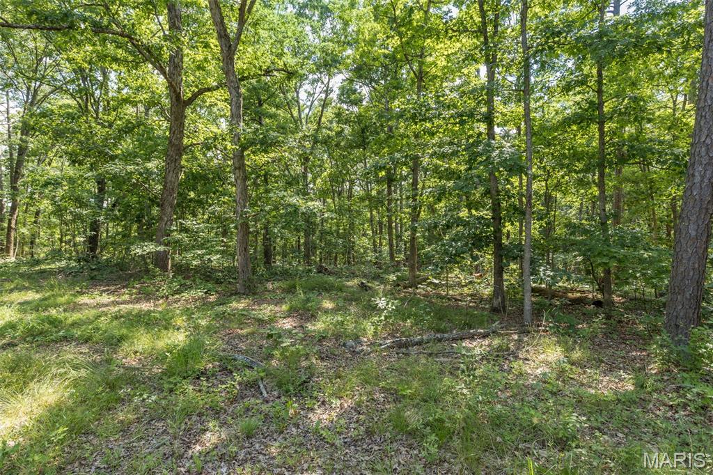 10130 Fish Hook Road Potosi, MO 63664 - Photo 13 of 29