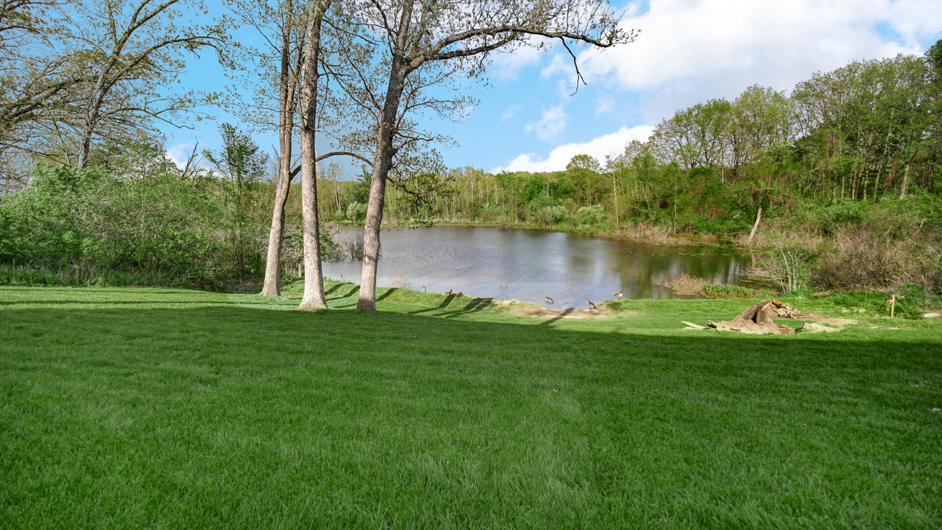 12871 Baker Court Crown Point, IN 46307 - Photo 45 of 50 1919x1080