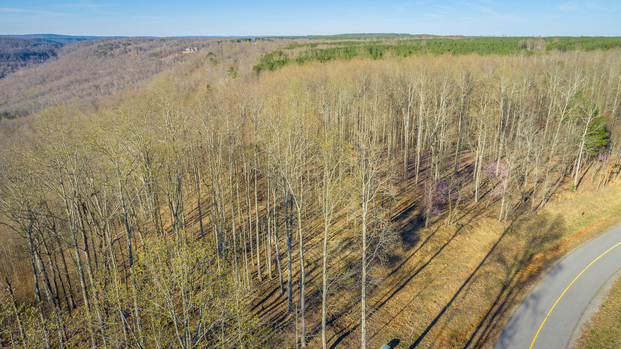 0 Cherokee Path, Unit JF269 Jasper, TN 37347 - Photo 60 of 94 0 Cherokee Path - JF269 HD-57