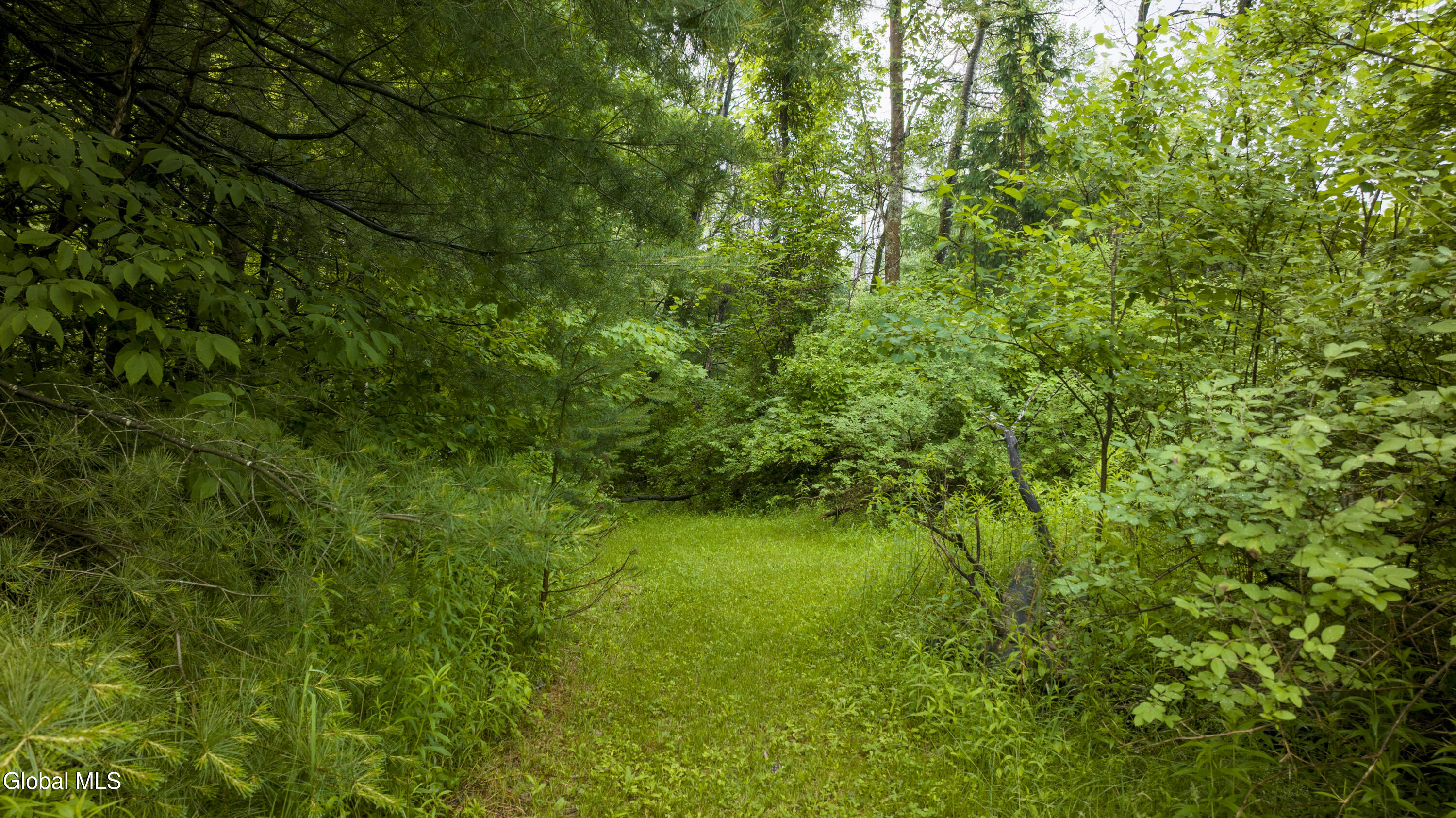 653 Coy Road Greenfield, NY 12833 - Photo 31 of 31 653 Coy Rd-31