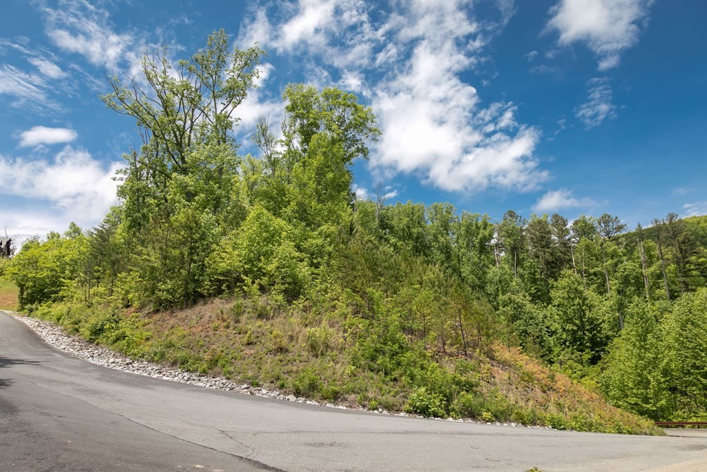 134 Summit Trails Drive Sevierville, TN 37862 - Photo 10 of 19
