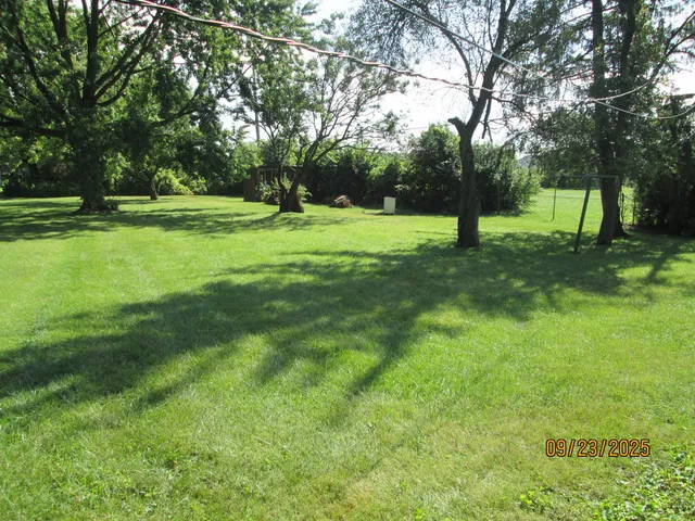 a view of a trees in a park