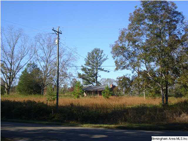 1148 County Road 418 Clanton, AL 35045 - Photo 1 of 10