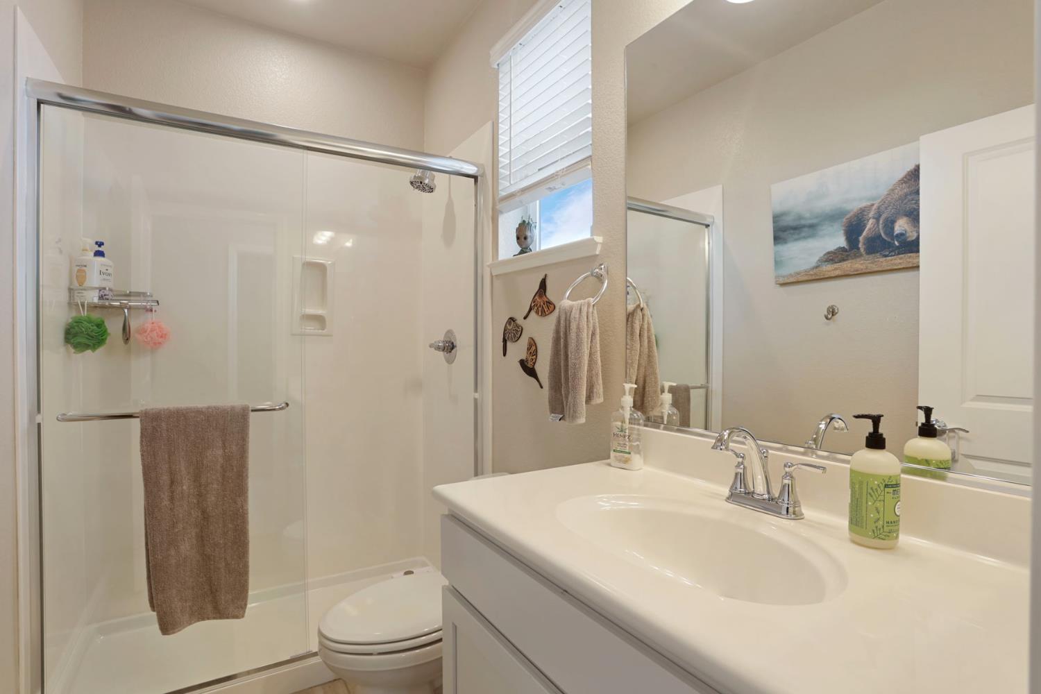 2905 Zinnia Way Lodi, CA 95242 - Photo 15 of 47 a bathroom with a sink toilet and shower