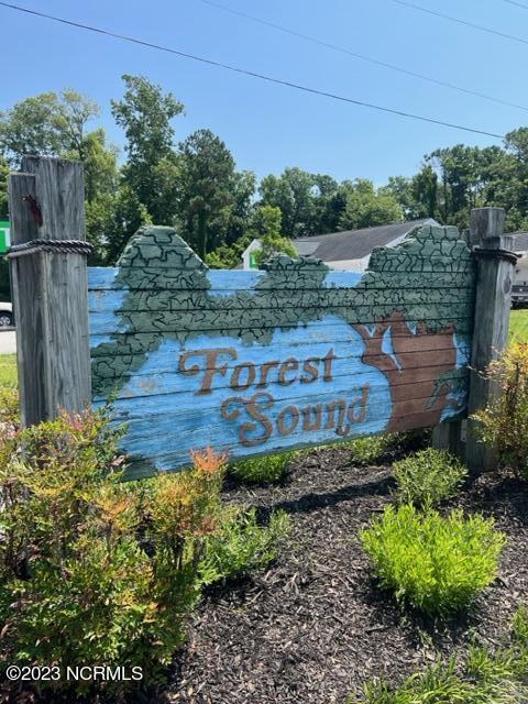 1709 Corcus Ferry Road Hampstead, NC 28443 - Photo 27 of 33 IMG_4806