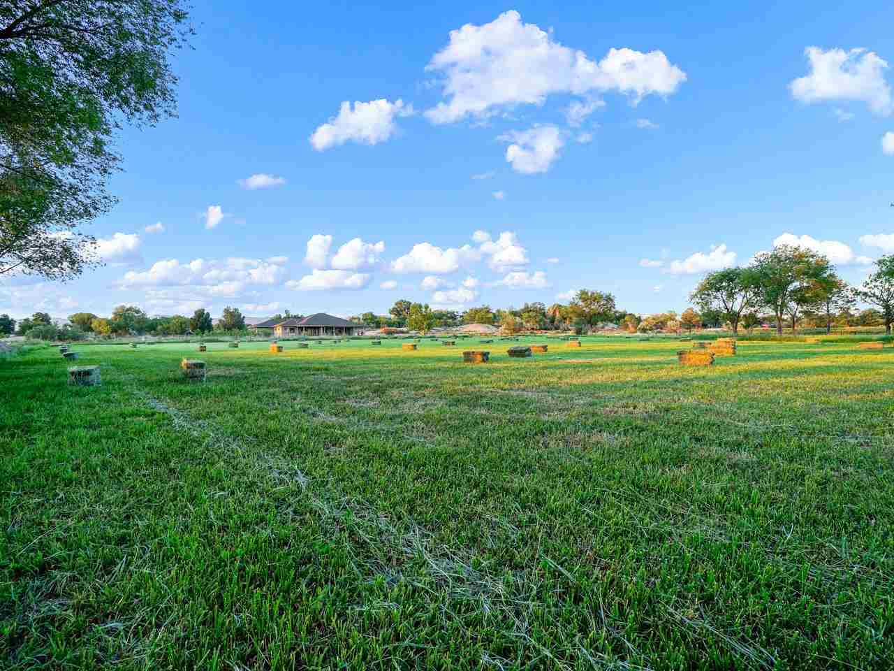 912 23 Road Grand Junction, CO 81505 - Photo 7 of 42 a view of a big yard with lots of green space