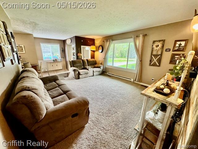 3148 Hogback Road Fowlerville, MI 48836 - Photo 34 of 63