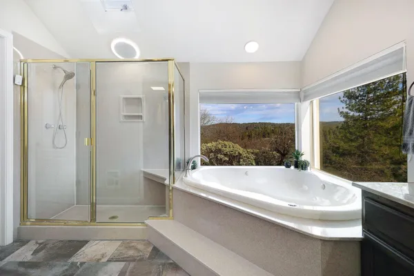 a bathroom with a bathtub and a shower