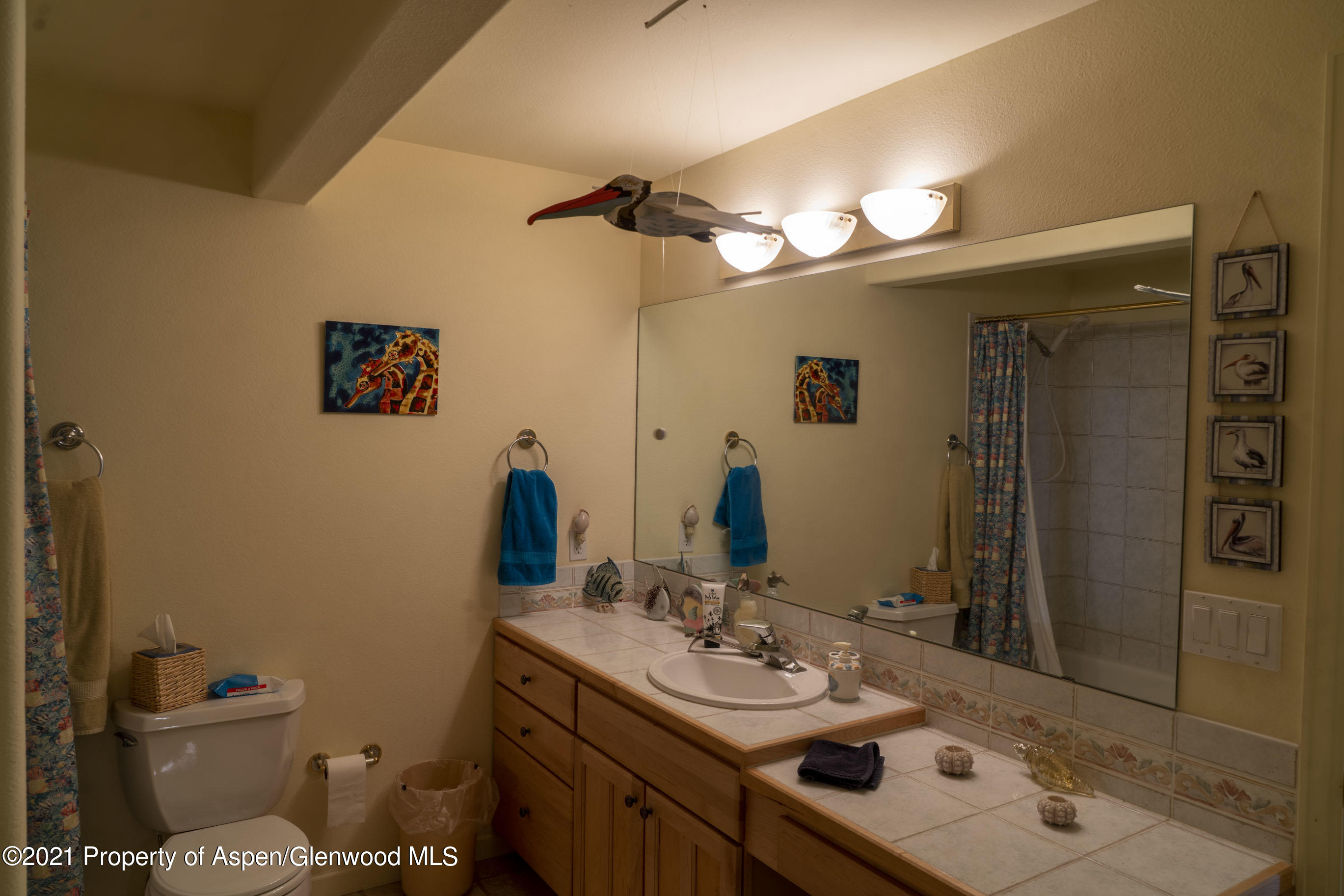 228 South Ridge Court Parachute, CO 81635 - Photo 14 of 20 Bathroom Downstairs