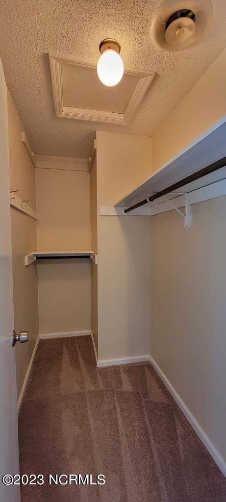 527 Raintree Circle Jacksonville, NC 28540 - Photo 24 of 29