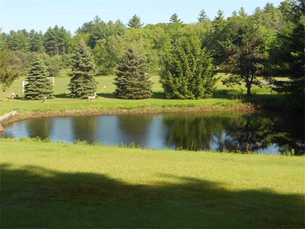 7 Milford Road Grafton, MA 01560 - Photo 6 of 25 Gallery Image 6
