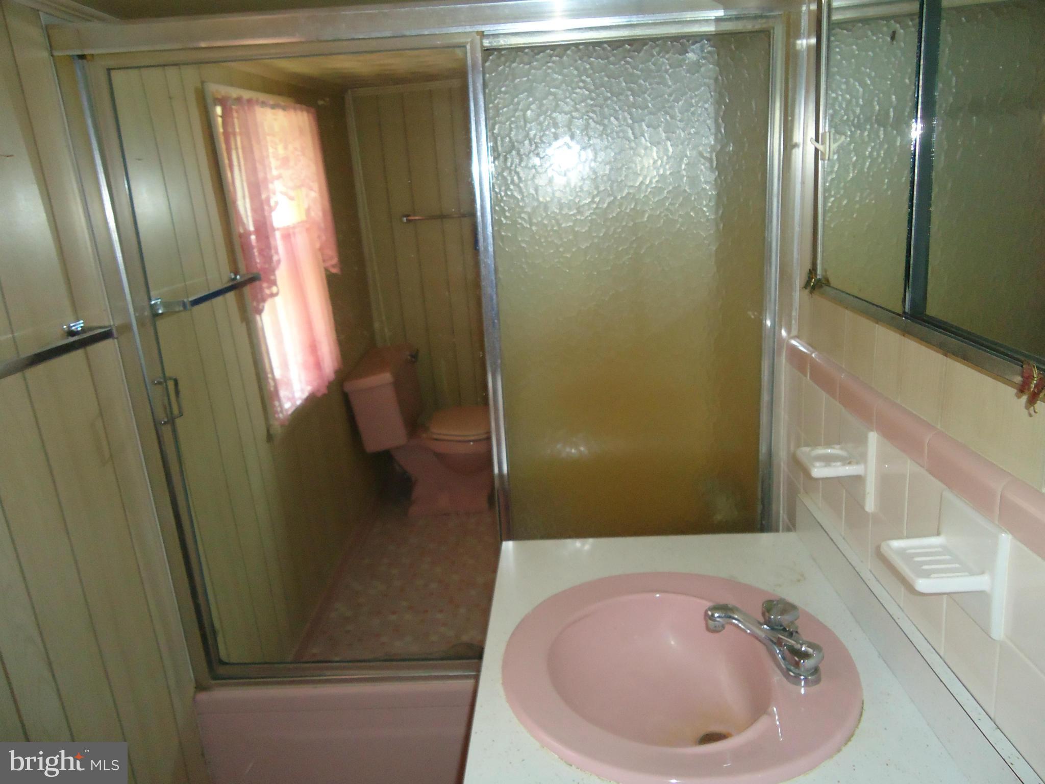 20175 Windy Lane Coltons Point, MD 20626 - Photo 13 of 14 a bathroom with a sink and a mirror