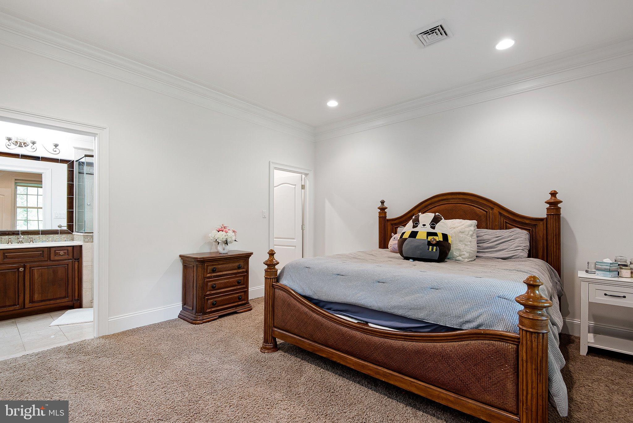 104 Timber Ridge Lane Chadds Ford, PA 19317 - Photo 59 of 65 Full bedroom with en-suite bath and walk-in closet