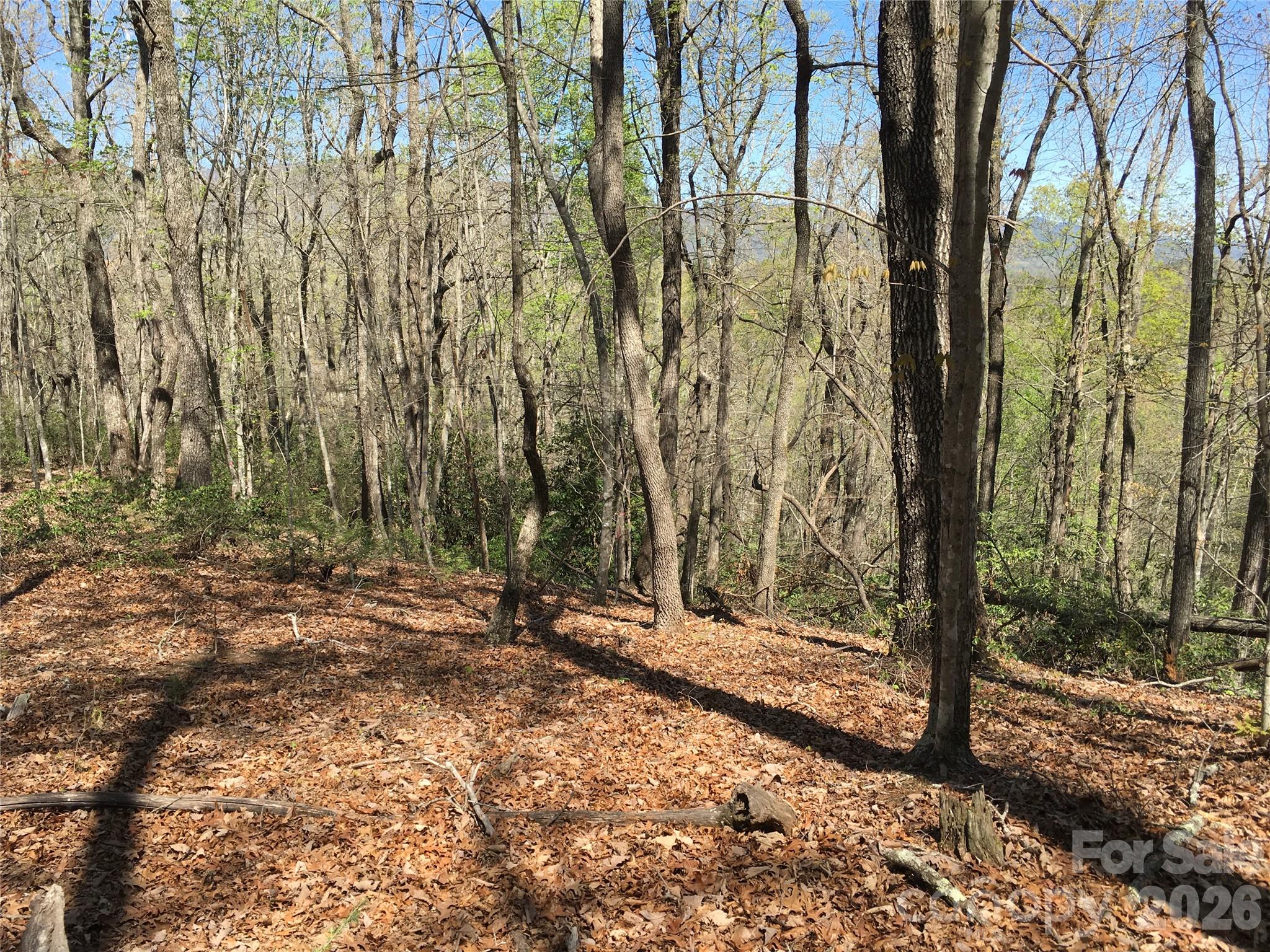 0 Lytle Mountain Road Marion, NC 28752 - Photo 12 of 43 a view of a yard with trees
