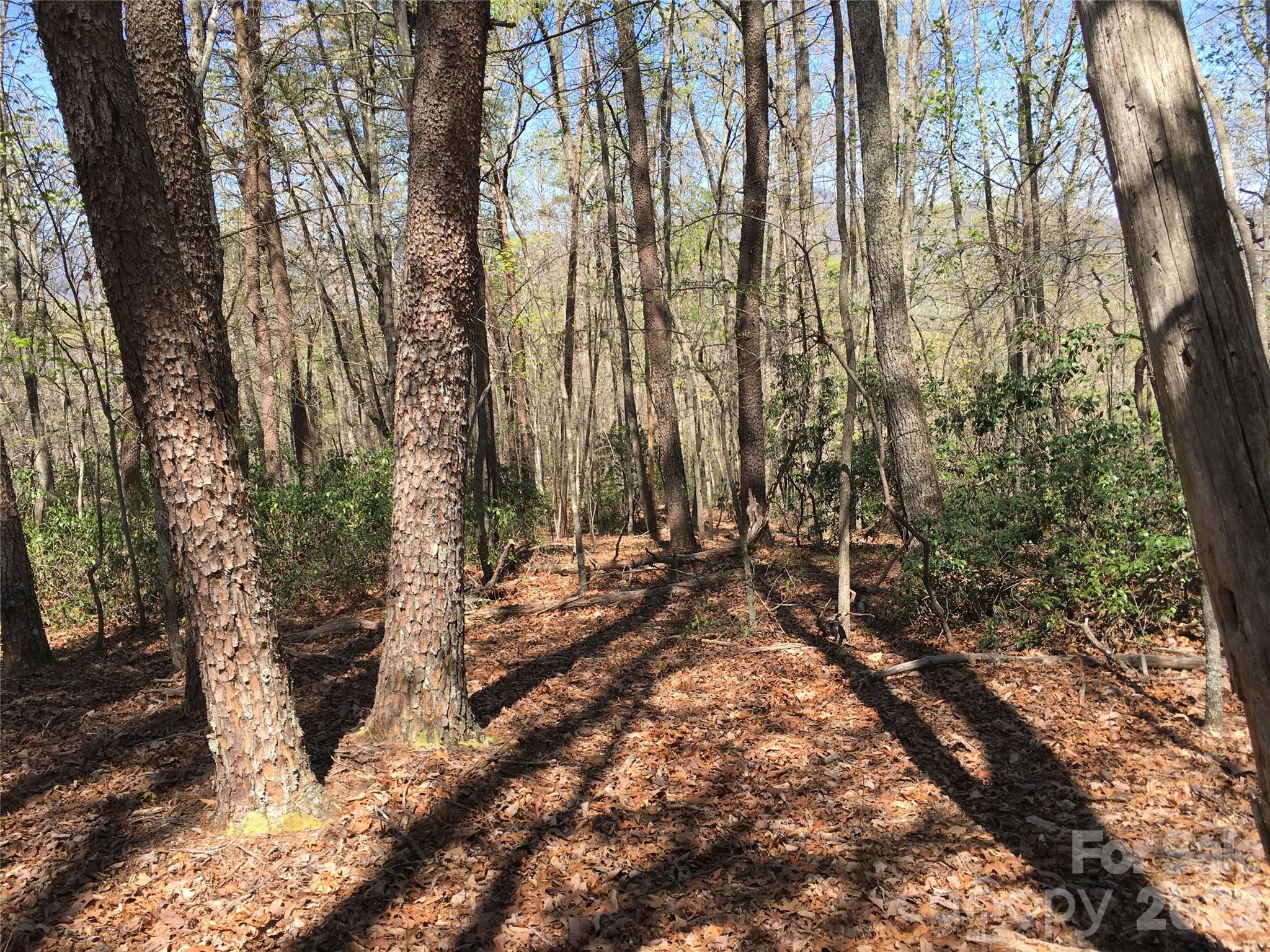 0 Lytle Mountain Road Marion, NC 28752 - Photo 13 of 43