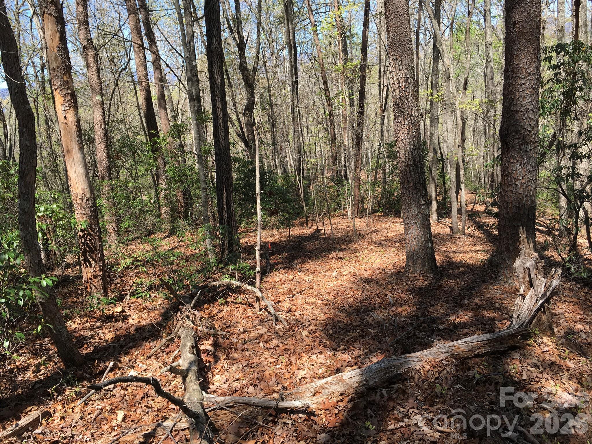 0 Lytle Mountain Road Marion, NC 28752 - Photo 14 of 43 a view of outdoor space with trees