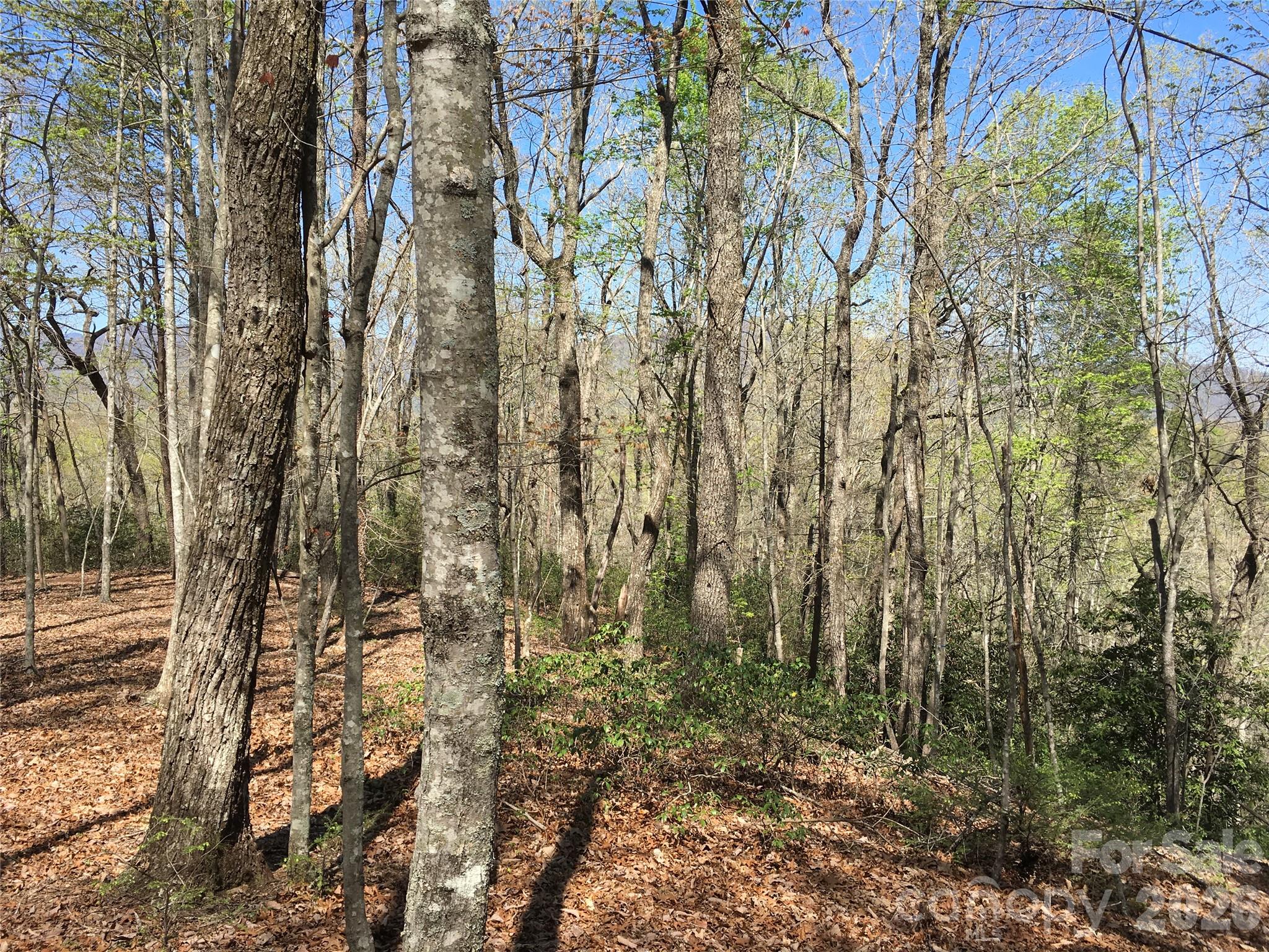 0 Lytle Mountain Road Marion, NC 28752 - Photo 15 of 43 a view of yard