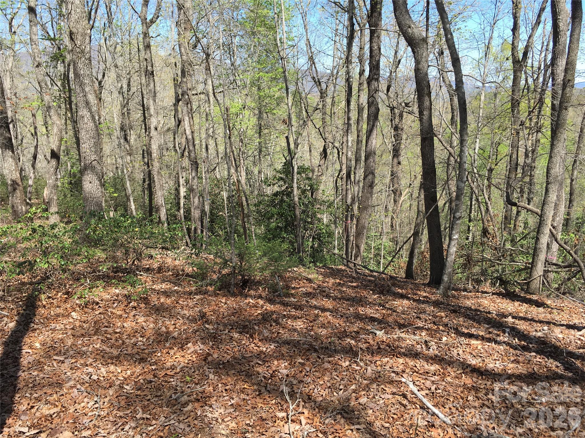 0 Lytle Mountain Road Marion, NC 28752 - Photo 16 of 43 a view of outdoor space and trees