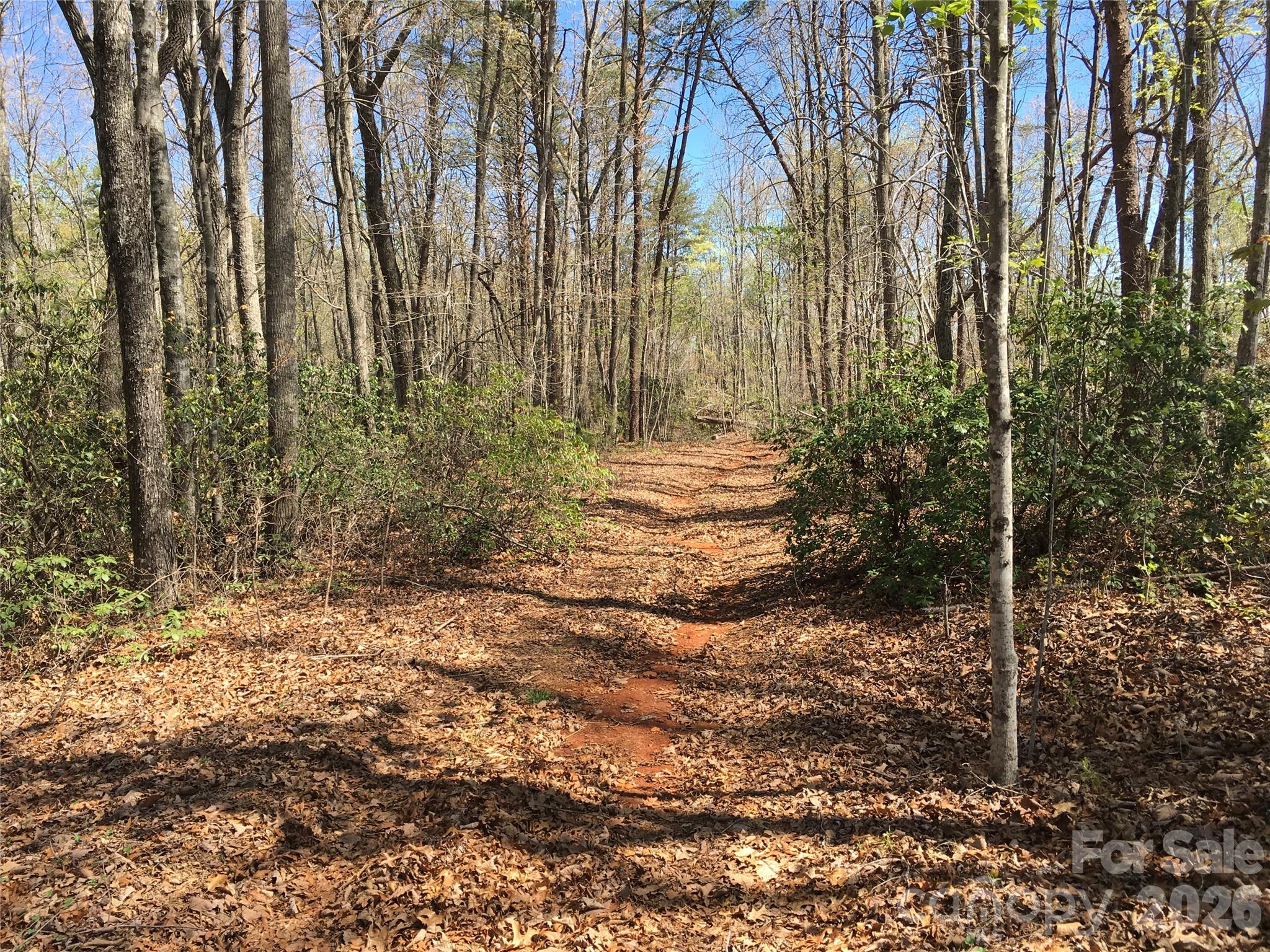 0 Lytle Mountain Road Marion, NC 28752 - Photo 2 of 43 a view of a yard with plants and trees