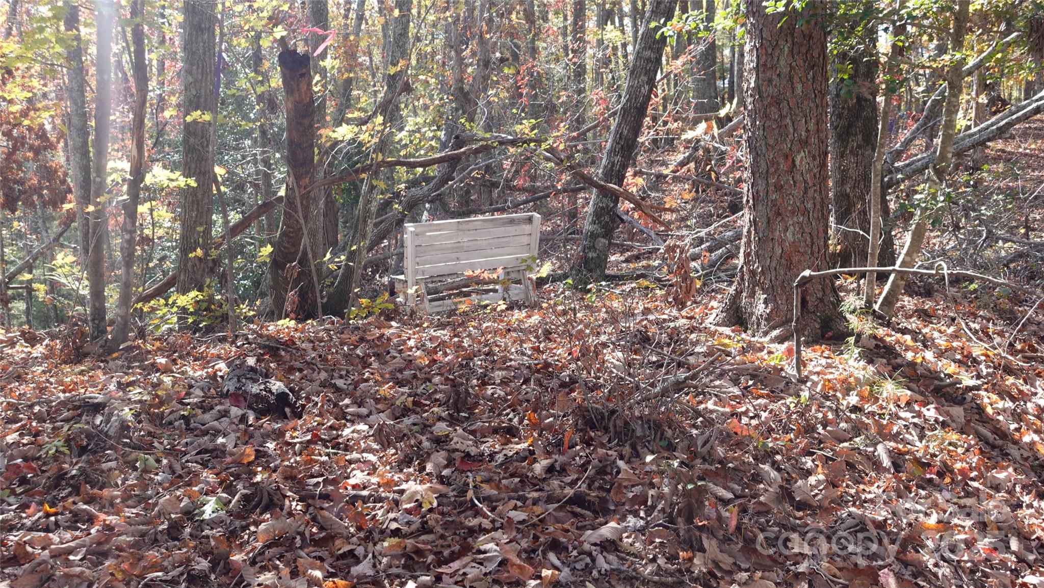 0 Lytle Mountain Road Marion, NC 28752 - Photo 2 of 11 a backyard of a house with lots of green space