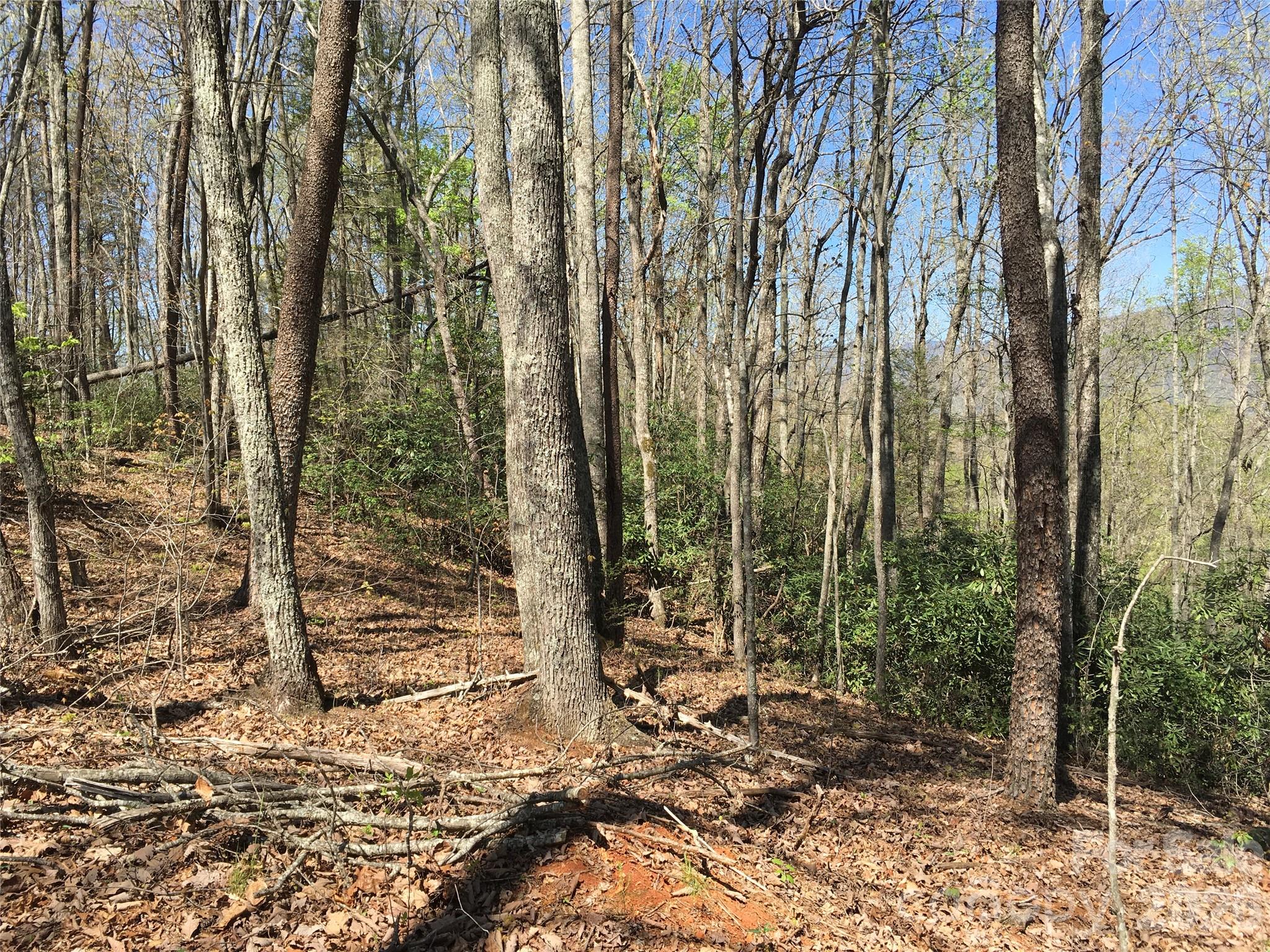 0 Lytle Mountain Road Marion, NC 28752 - Photo 21 of 43 a view of a forest with trees