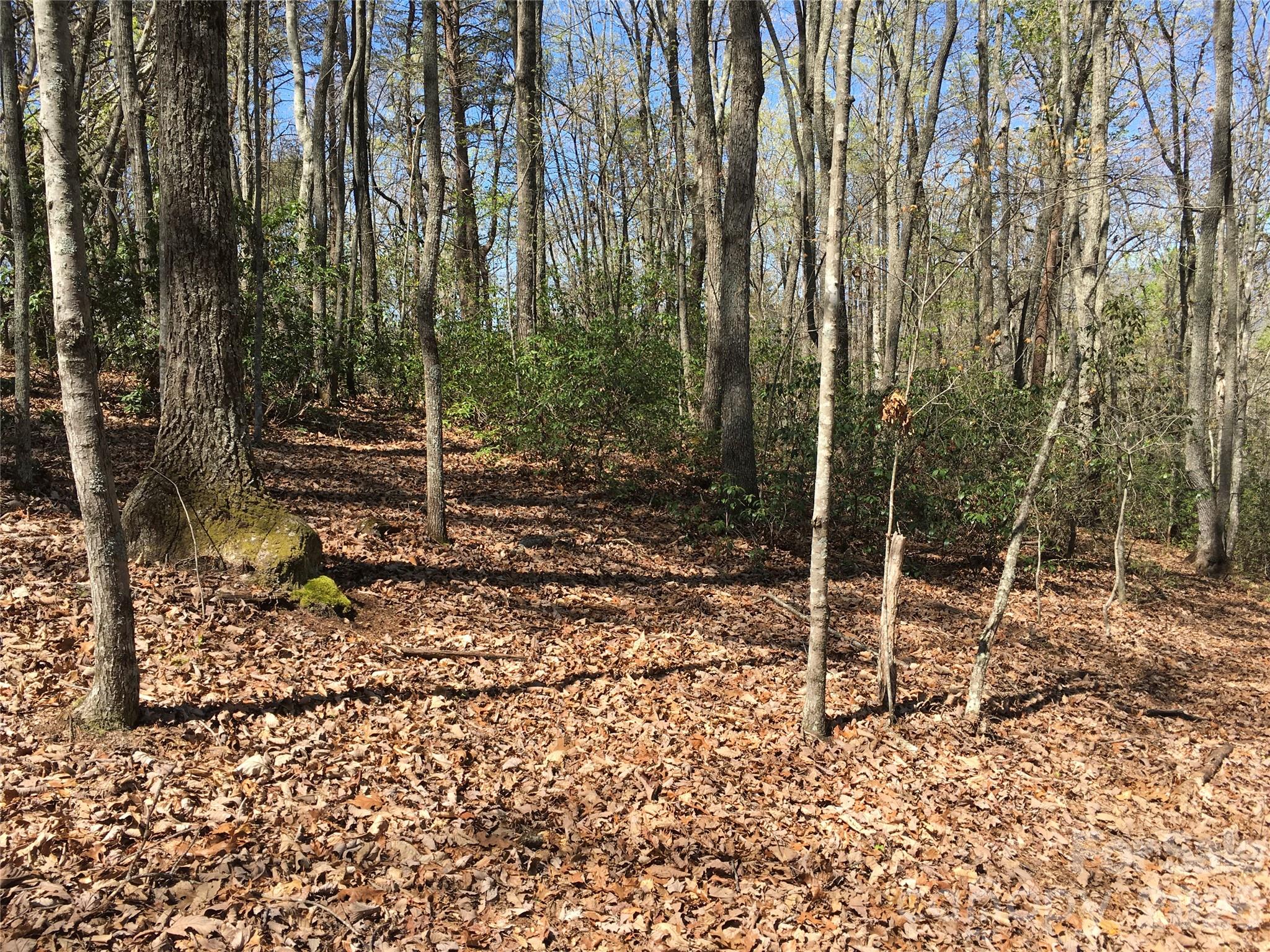 0 Lytle Mountain Road Marion, NC 28752 - Photo 23 of 43 a view of a room with trees in the background