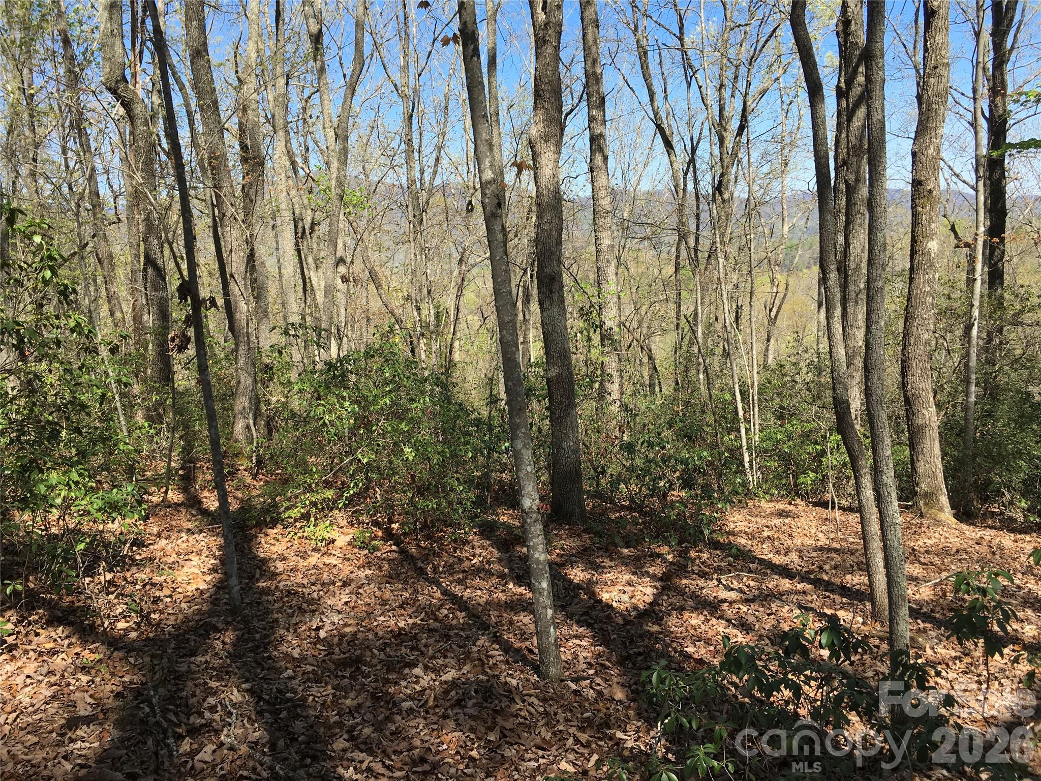 0 Lytle Mountain Road Marion, NC 28752 - Photo 25 of 43 a view of a forest with trees
