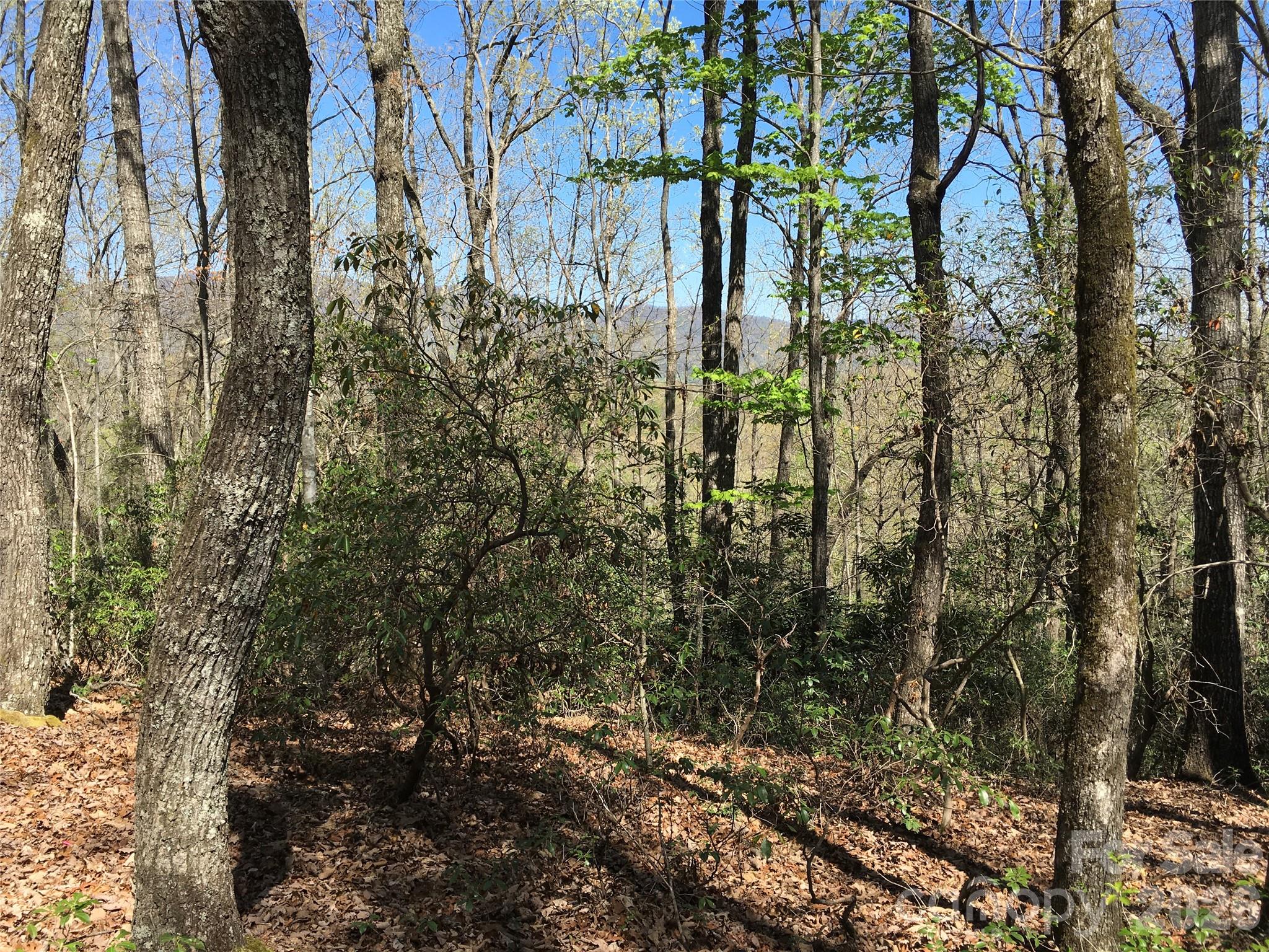 0 Lytle Mountain Road Marion, NC 28752 - Photo 26 of 43 a view of a yard with plants and trees