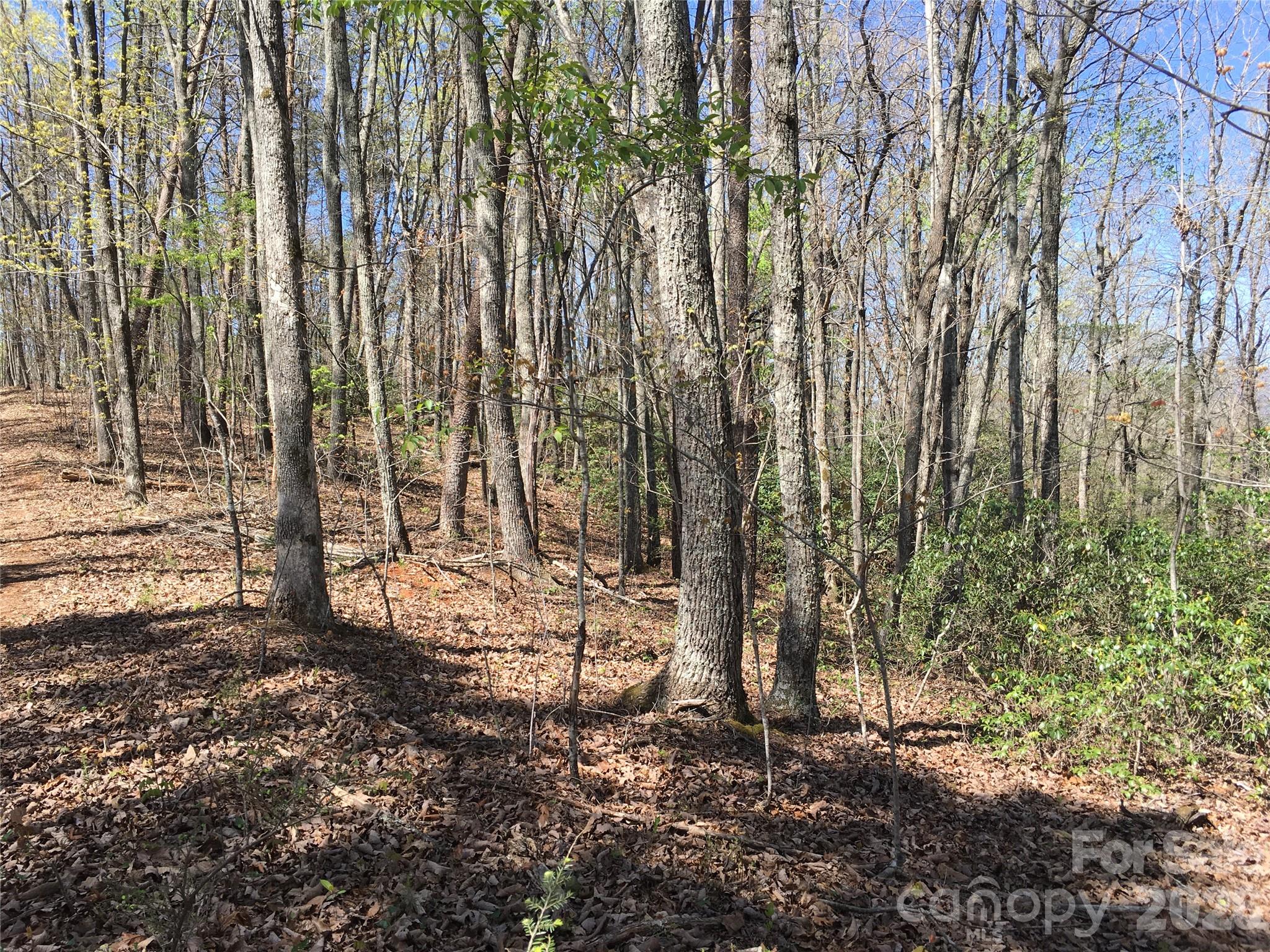 0 Lytle Mountain Road Marion, NC 28752 - Photo 28 of 43 a view of a yard with trees