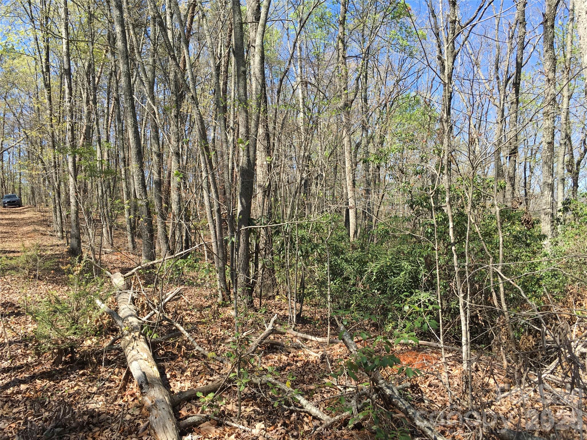 0 Lytle Mountain Road Marion, NC 28752 - Photo 29 of 43