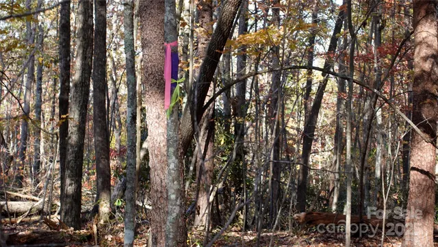 a backyard of a house with lots of plants
