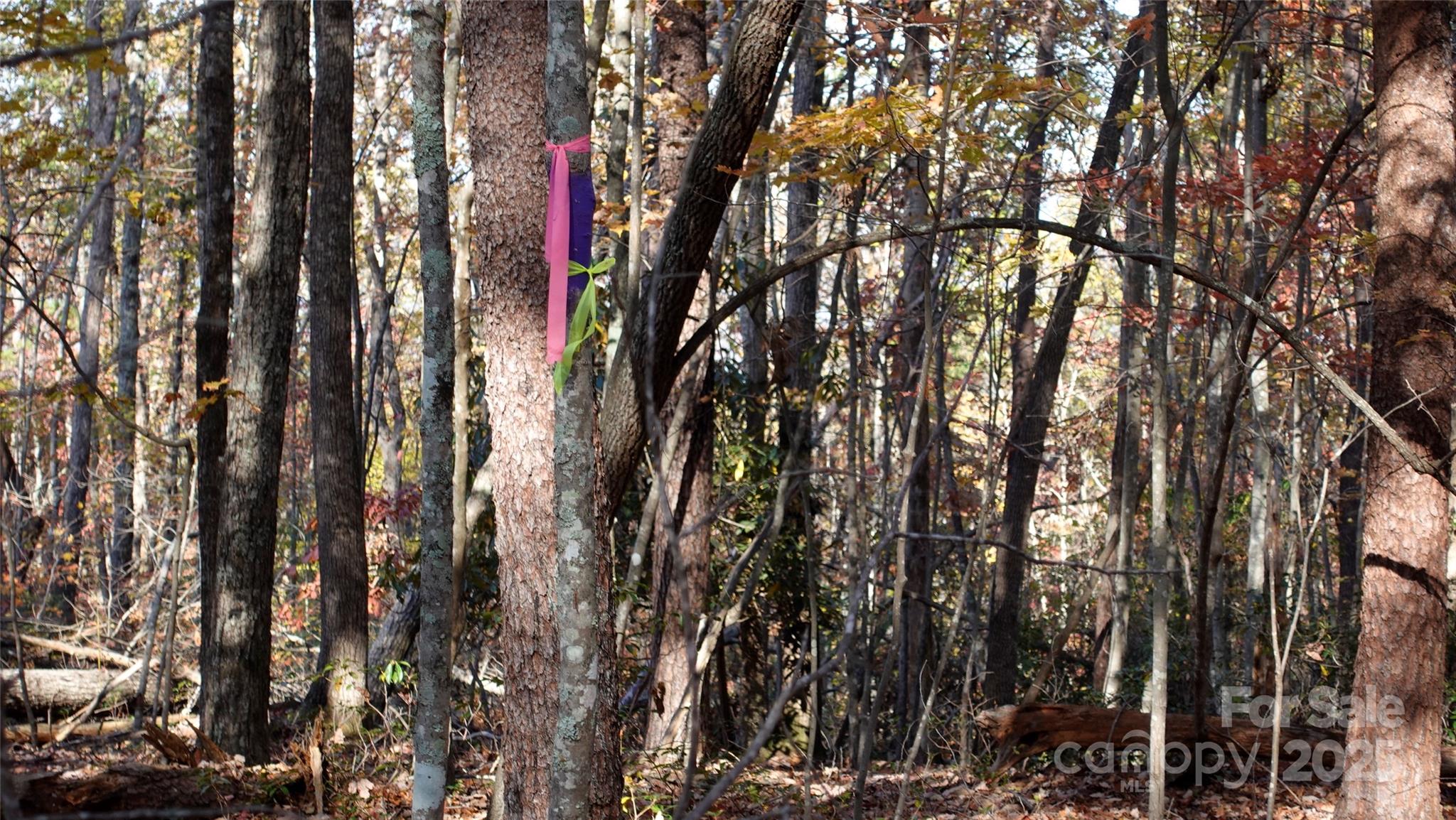 0 Lytle Mountain Road Marion, NC 28752 - Photo 3 of 11