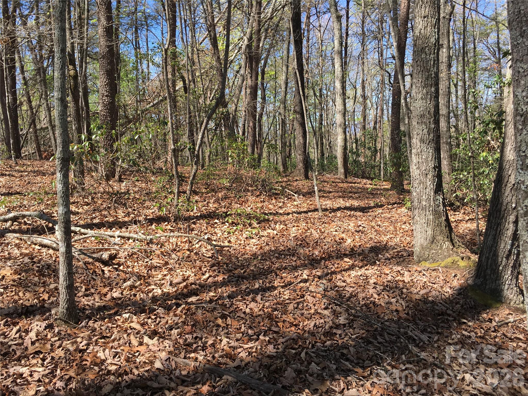 0 Lytle Mountain Road Marion, NC 28752 - Photo 3 of 43 a backyard of a house with lots of green space
