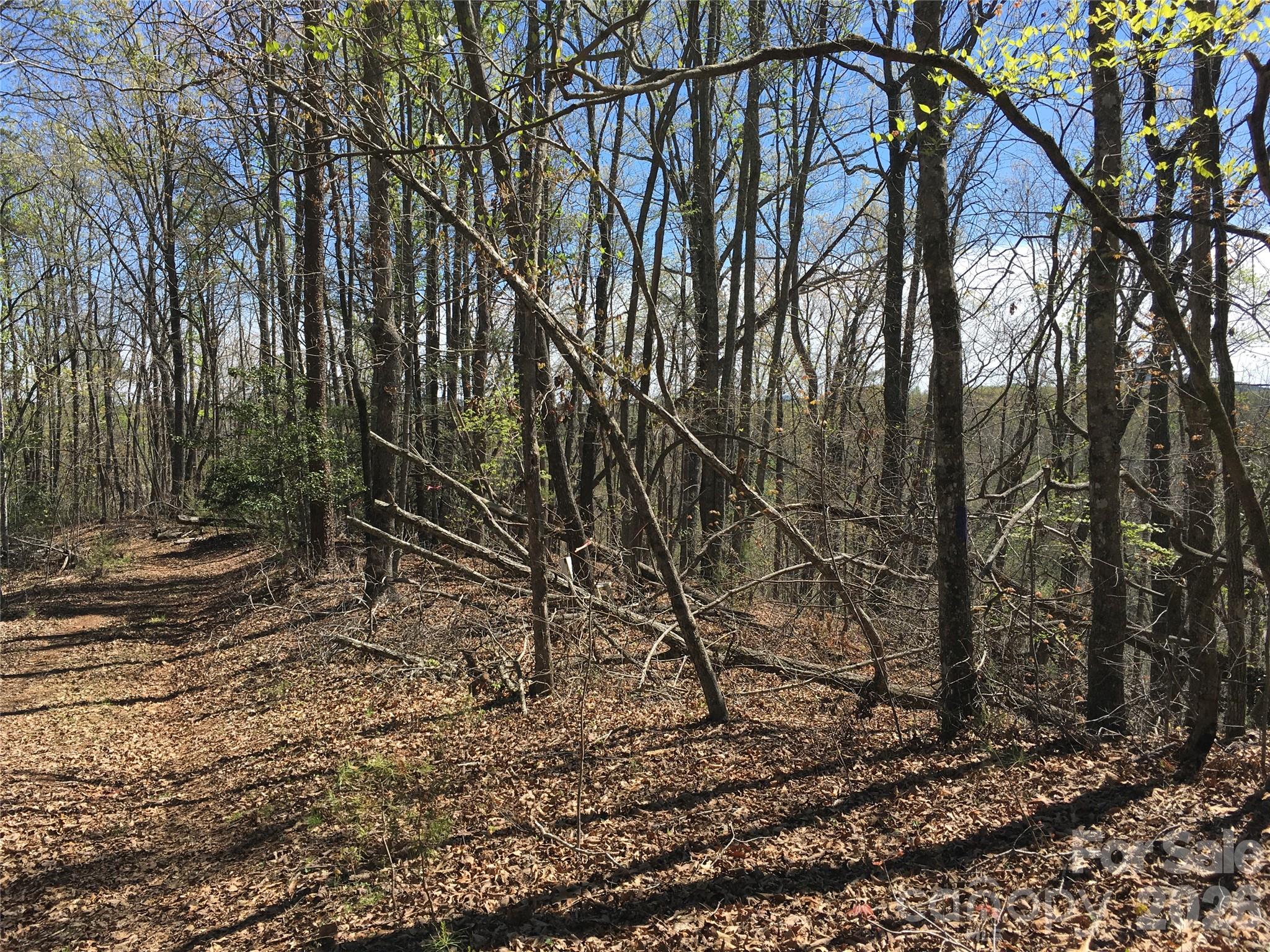 0 Lytle Mountain Road Marion, NC 28752 - Photo 32 of 43 a backyard of a house with lots of trees