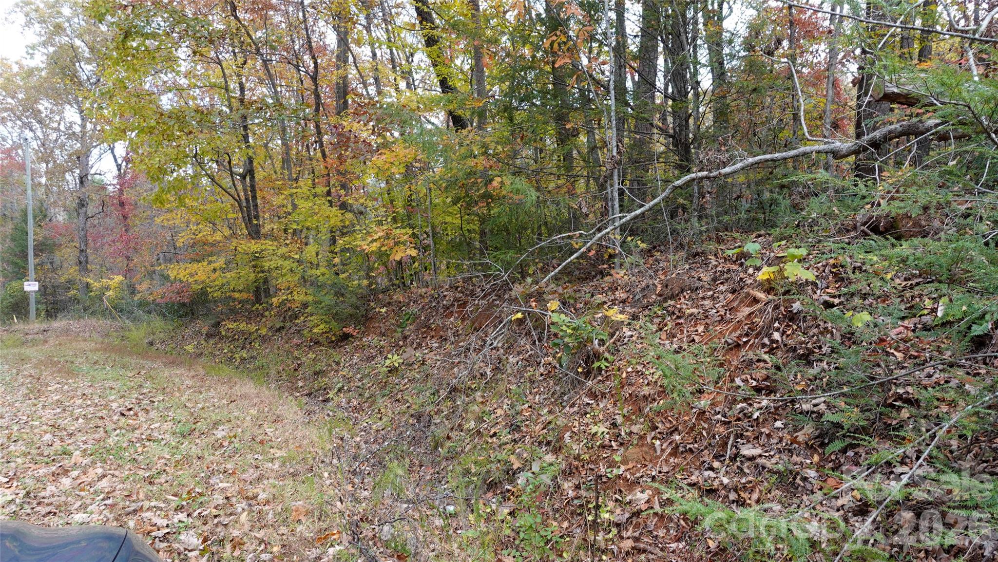 0 Lytle Mountain Road Marion, NC 28752 - Photo 33 of 43 a backyard of a house with lots of plants