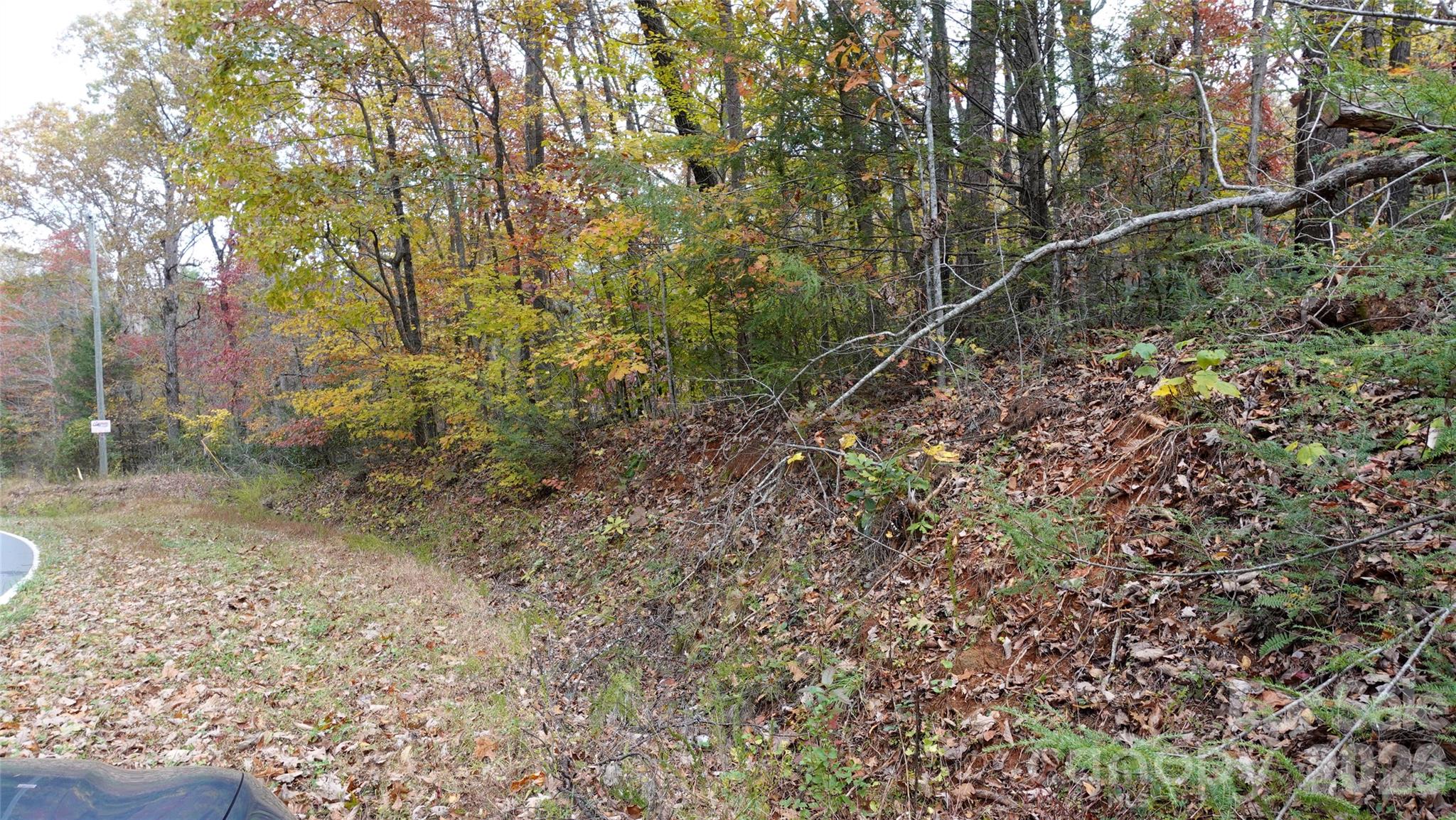 0 Lytle Mountain Road Marion, NC 28752 - Photo 34 of 43 a view of a forest with a tree