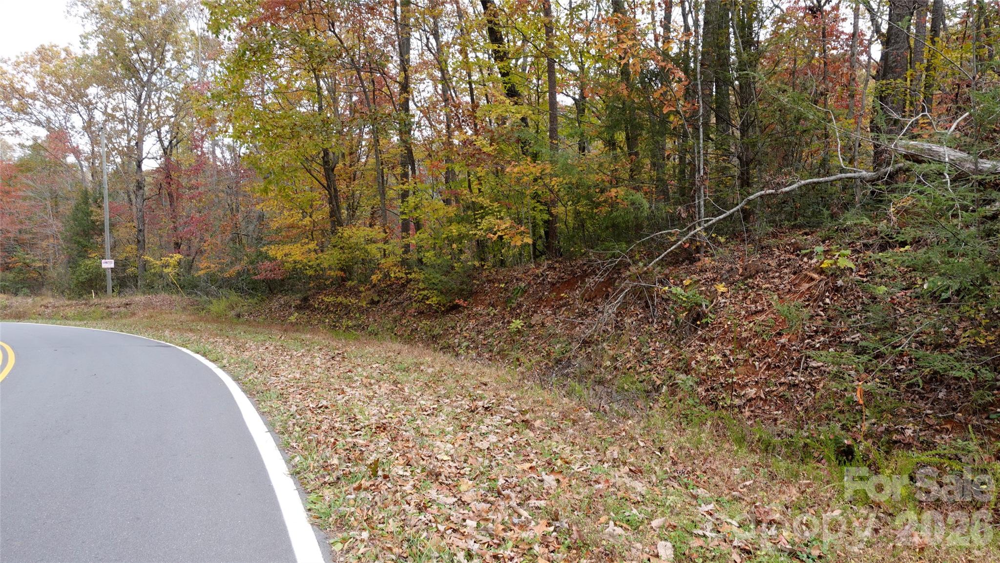 0 Lytle Mountain Road Marion, NC 28752 - Photo 35 of 43 a view of a yard