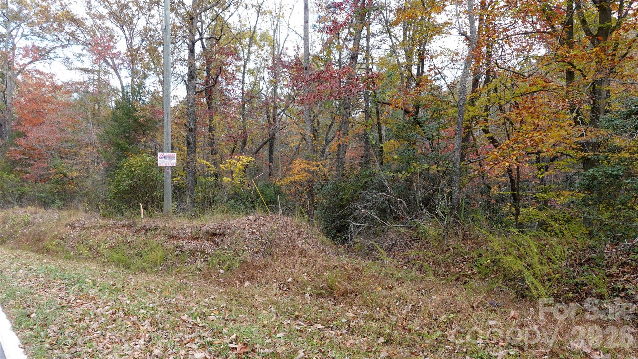 0 Lytle Mountain Road Marion, NC 28752 - Photo 36 of 43 a view of a forest with trees in the background