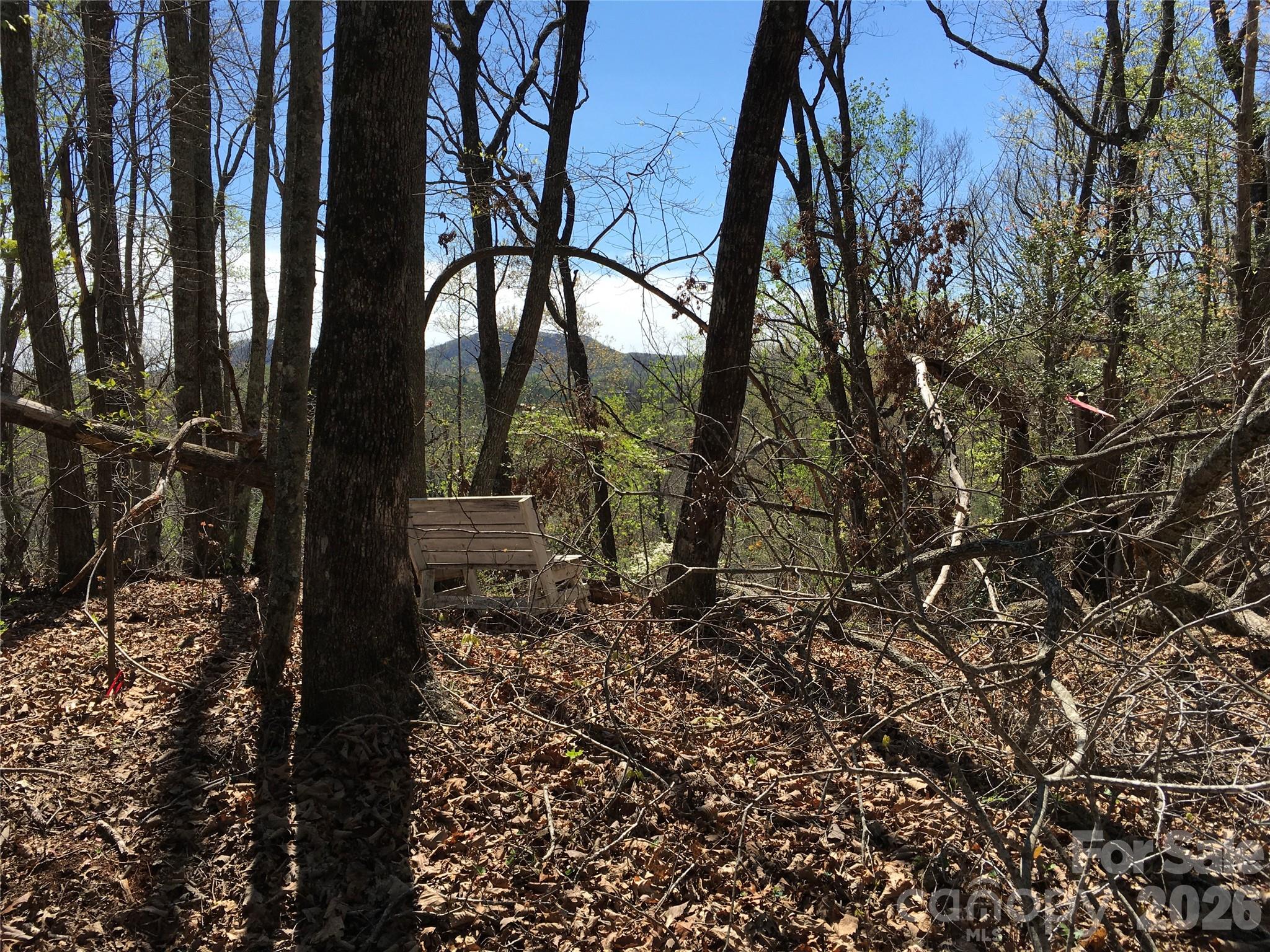 0 Lytle Mountain Road Marion, NC 28752 - Photo 40 of 43 a view of a yard