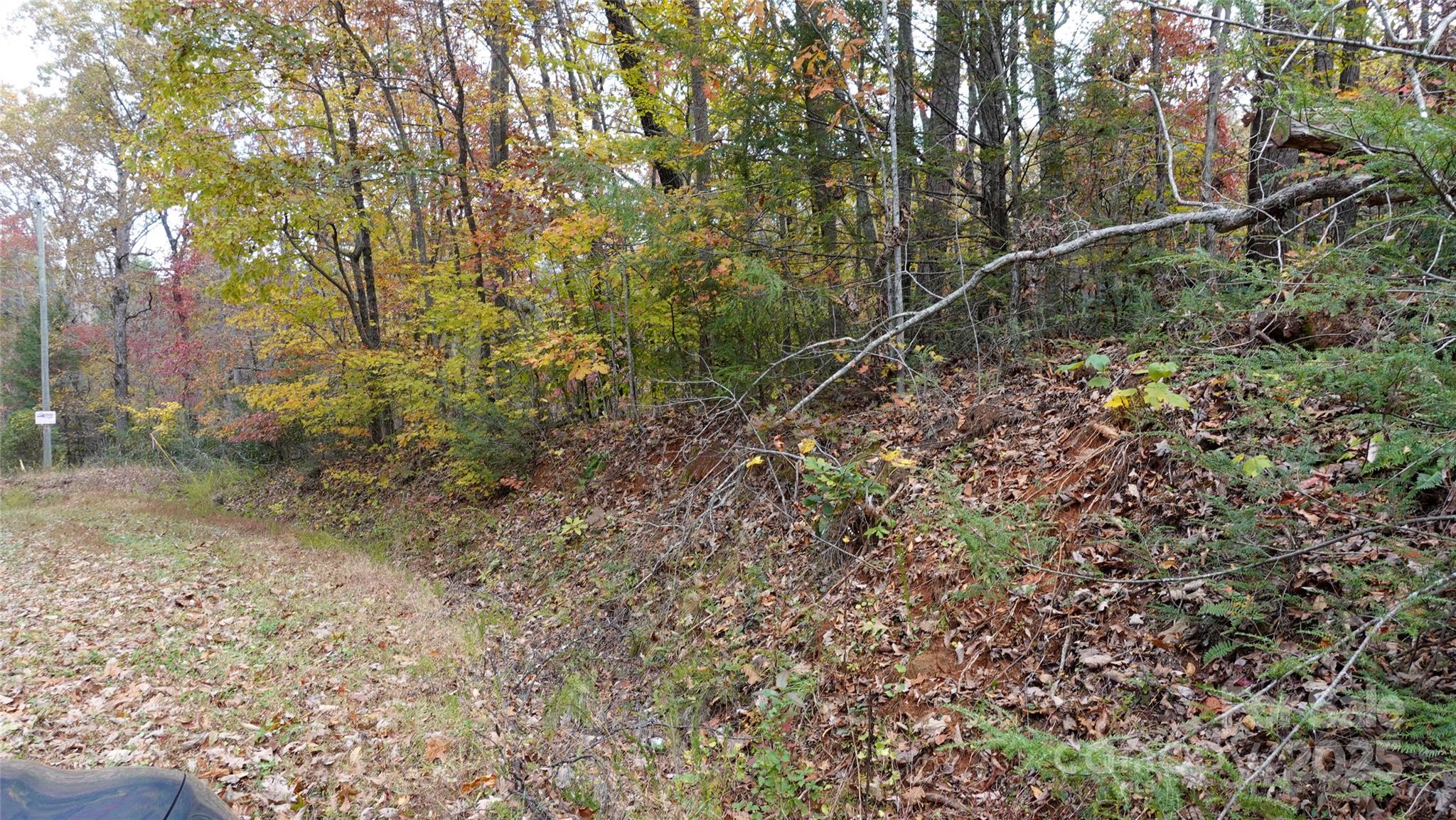 0 Lytle Mountain Road Marion, NC 28752 - Photo 4 of 11 a backyard of a house with lots of plants