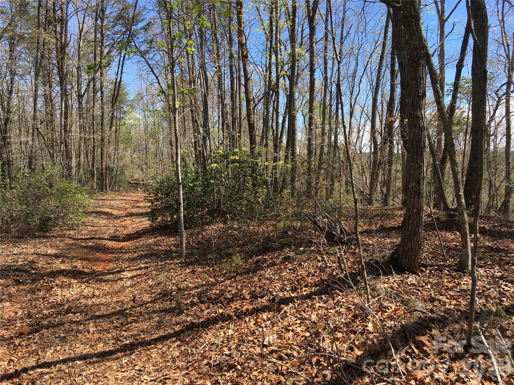 0 Lytle Mountain Road Marion, NC 28752 - Photo 5 of 43 a view of a backyard