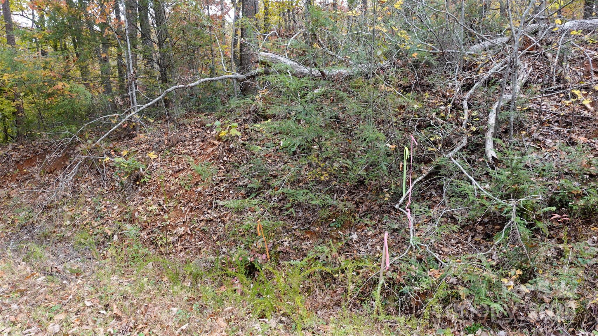 0 Lytle Mountain Road Marion, NC 28752 - Photo 6 of 11 a view of a forest with a tree