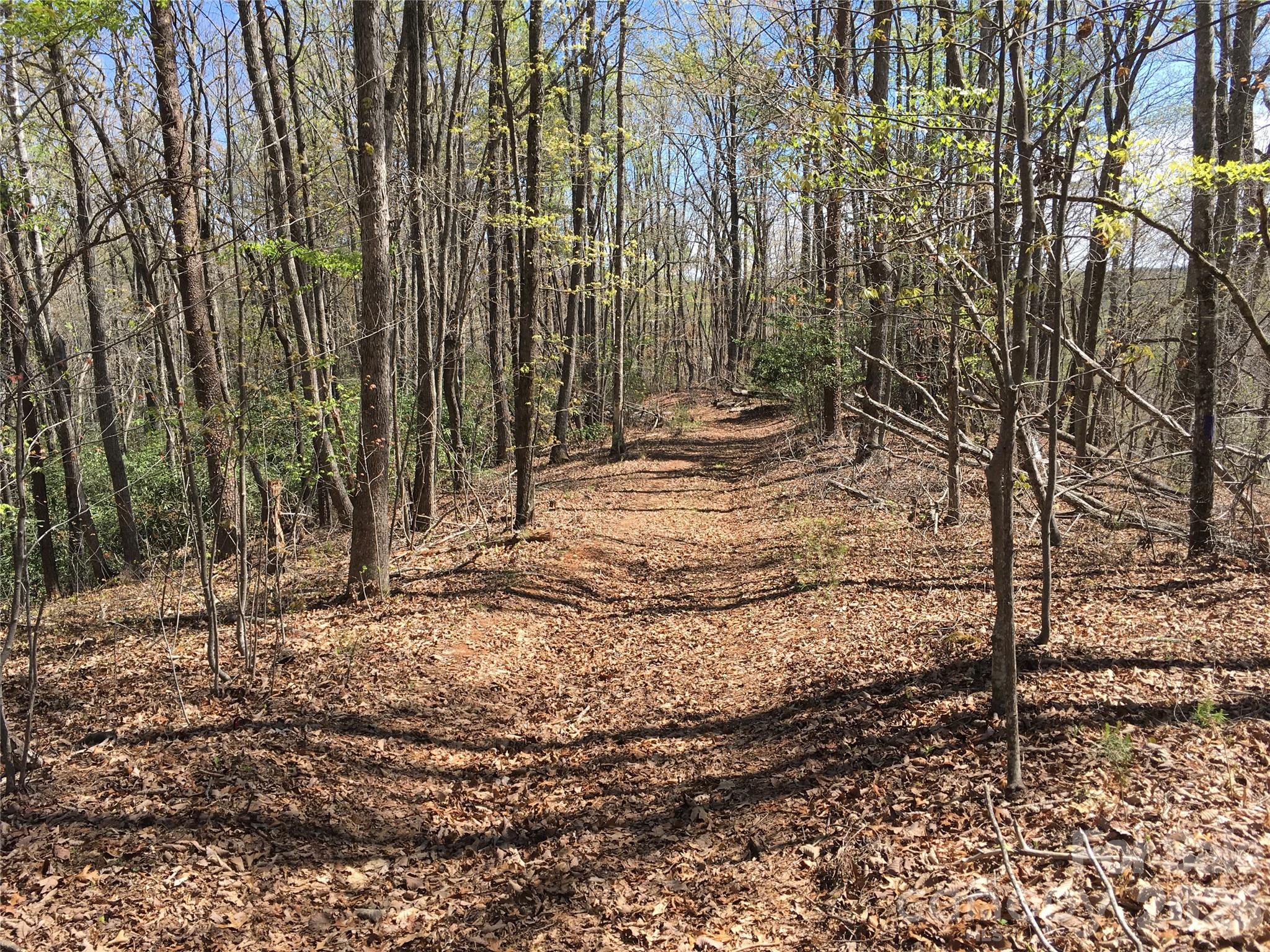 0 Lytle Mountain Road Marion, NC 28752 - Photo 6 of 43 a view of a backyard of the house