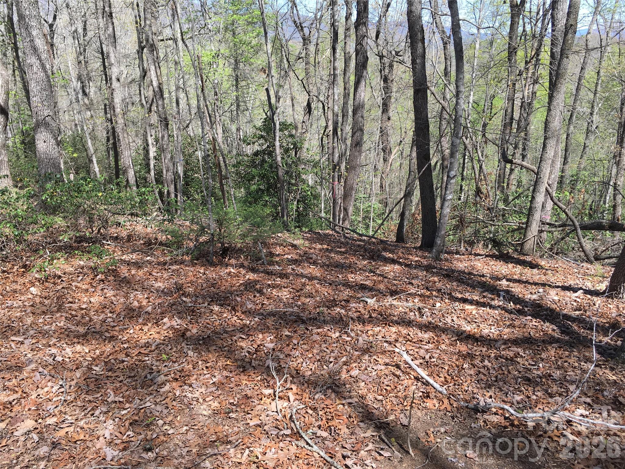 0 Lytle Mountain Road Marion, NC 28752 - Photo 7 of 43 a view of outdoor space and trees