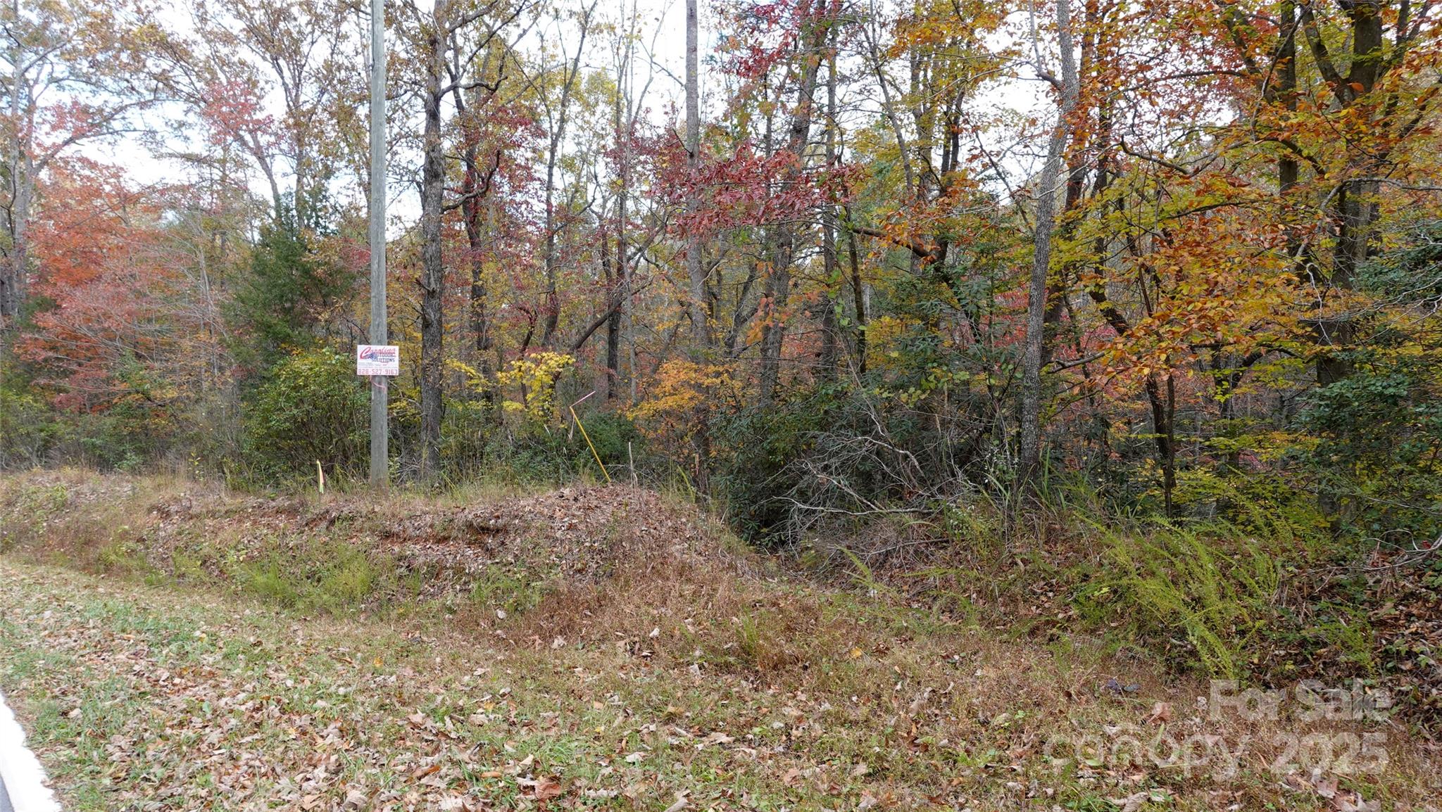 0 Lytle Mountain Road Marion, NC 28752 - Photo 8 of 11 a view of a forest with trees in the background